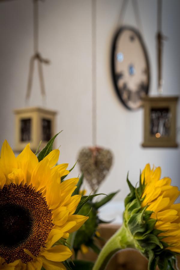 Cracow Best Location Apartment By Cozyplace Kraków Eksteriør billede